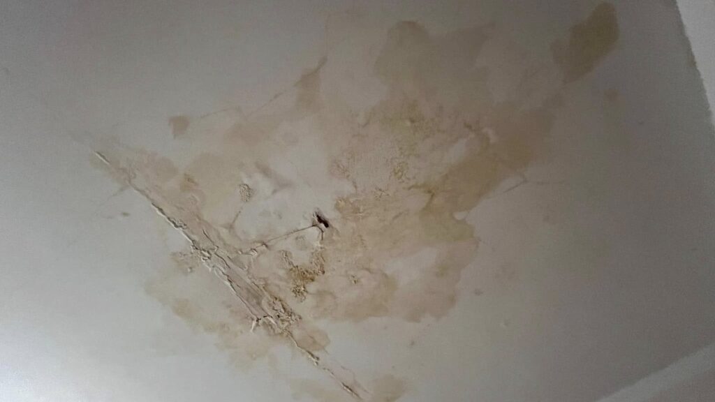 Zaciek i wykwity na scianie po zalaniu z gory przed osuszaniem